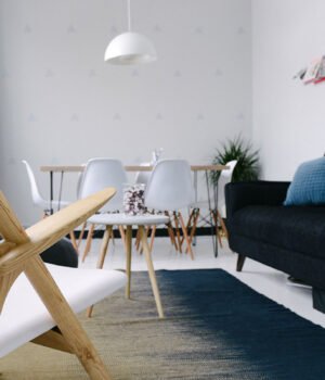 Gadget Ogling: Amazon on Fire, Virtual Reality, True Nature and Energy Relief